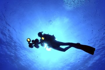 Дайвинг в Бодруме - Погружение с аквалангом - Фото и Цена