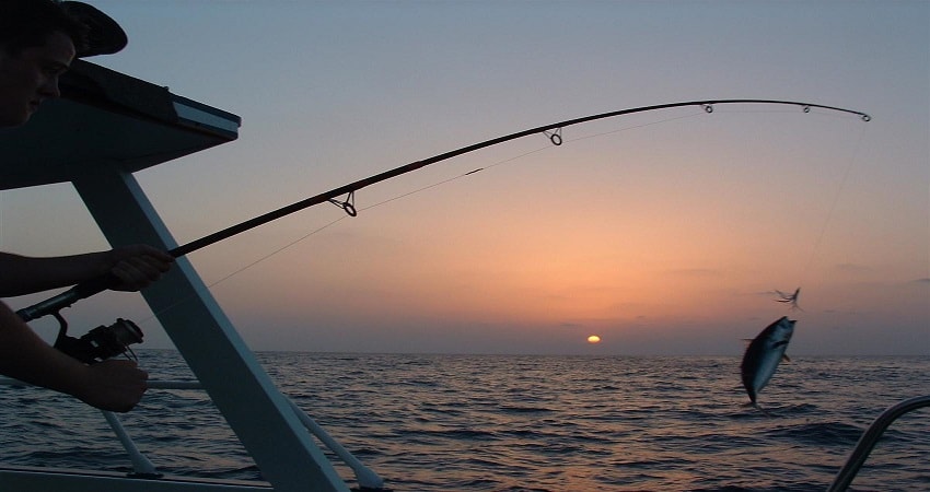 Рыбалка в Бодруме - Описание экскурсии - Цена и Отзывы