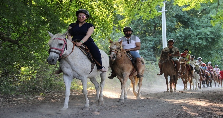 Сафари на лошадях в Бодруме