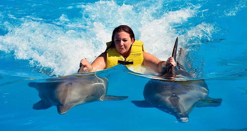 Плавание с дельфинами в Кушадасах - Описание Программы и Цены