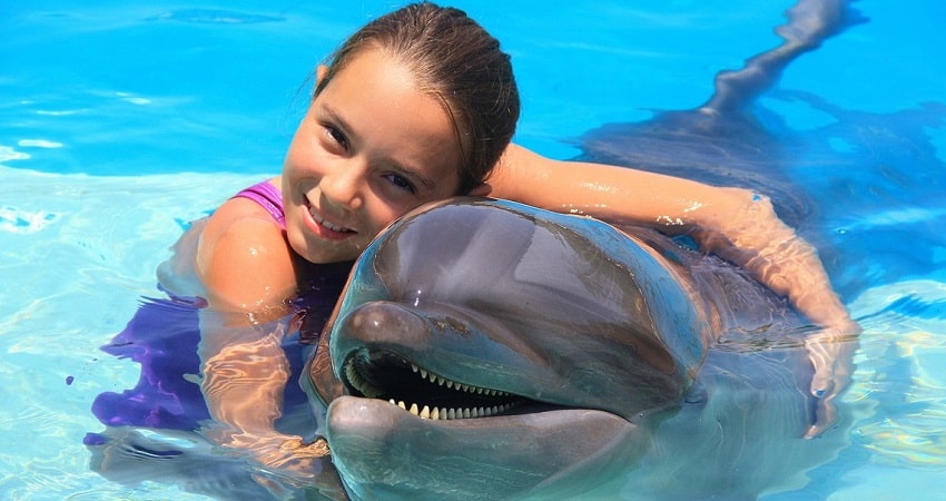 Плавание с дельфинами в Сиде - Описание Программы и Цены