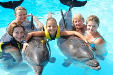 Плавание с дельфинами в Сиде - Описание Программы и Цены