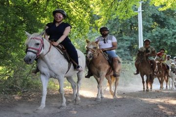 Прогулка на лошадях в Алании