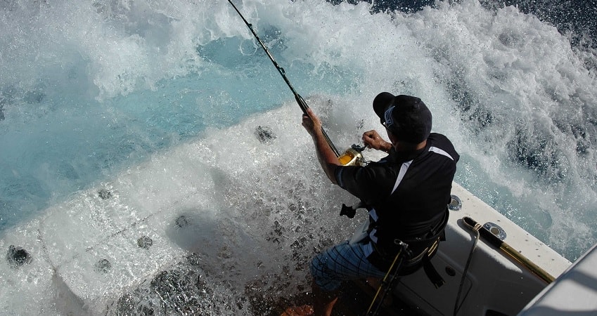 Рыбалка и снорклинг в Алании - Цена и Программа - Отзывы