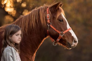Сафари на лошадях в Сиде - Отзывы и Цены - Описание Программы